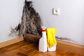 Best Forensic Mold Investigation  in Pelican Bay, FL